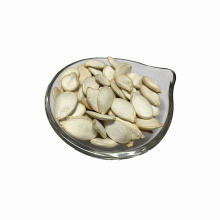 Raw & dried 13mm snow white pumpkin seeds  for hot sale